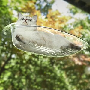 Cama flotante para gatos